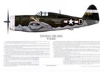 "P-47 Ace Gerald Johnson" - Ernie Boyette - World War II Aviation Art